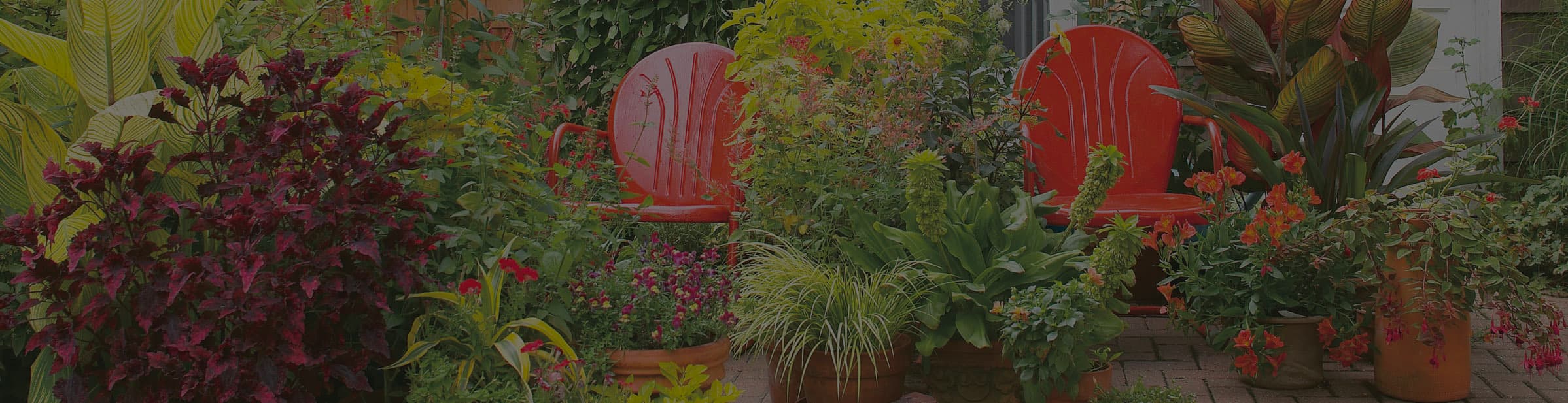 garden with two red chairs