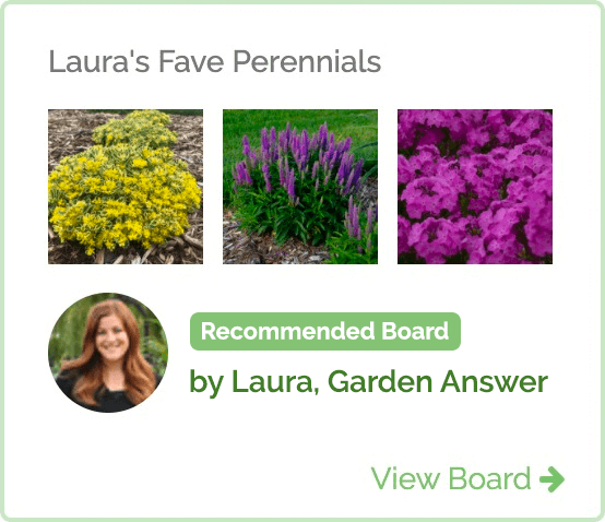 Recommended Idea Board Lauras Fave Perennials for 2020